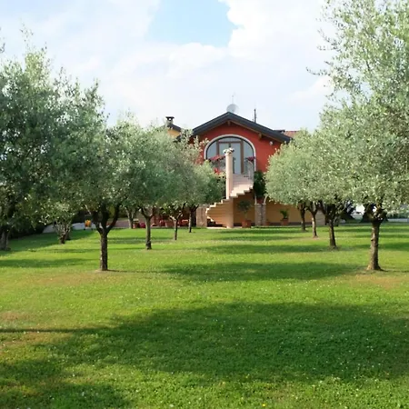 Agli Ulivi